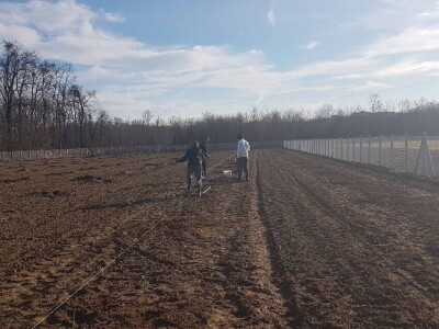 U Loznici i tokom prošle godine, leska najpopularnije voće