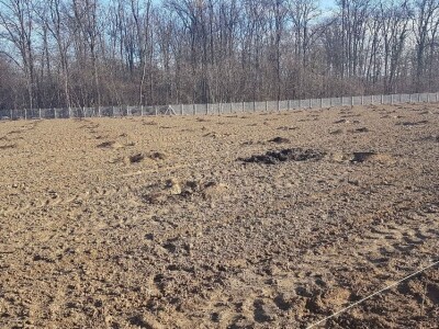 U Loznici i tokom prošle godine, leska najpopularnije voće