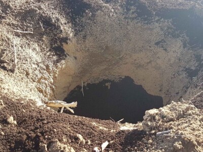 U Loznici i tokom prošle godine, leska najpopularnije voće