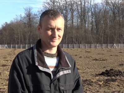 U Loznici i tokom prošle godine, leska najpopularnije voće