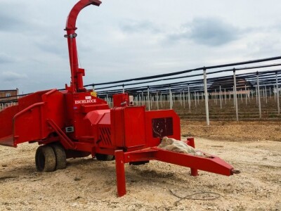 U Loznici sve više zasada borovnice