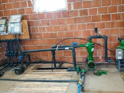 U Loznici sve više zasada borovnice