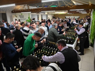U Ludbregu otvorena najveća izložba mladih vina u Hrvatskoj
