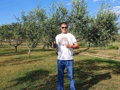 U MASLINIKU OPG URODA: Učenici američke škole iz Zagreba brali malsine u zaleđu Pirovca