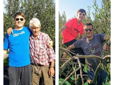 U MASLINIKU OPG URODA: Učenici američke škole iz Zagreba brali malsine u zaleđu Pirovca