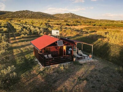 U MASLINIKU OPG URODA: Učenici američke škole iz Zagreba brali malsine u zaleđu Pirovca