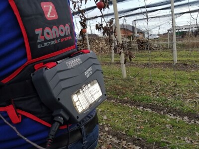 U međimurskim voćnjacima započelo zimsko orezivanje voćaka