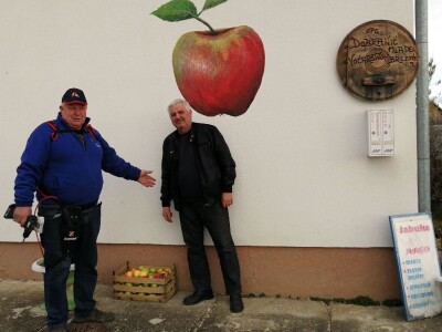 U međimurskim voćnjacima započelo zimsko orezivanje voćaka