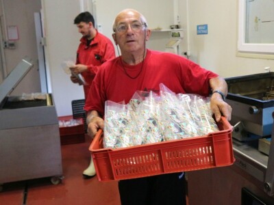 U modernom pogonu prerađuju 1.500 tona ribe godišnje