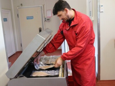 U modernom pogonu prerađuju 1.500 tona ribe godišnje