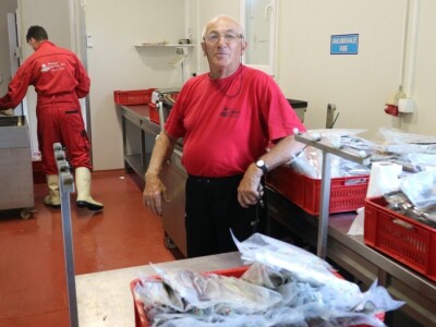 U modernom pogonu prerađuju 1.500 tona ribe godišnje