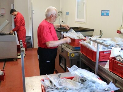 U modernom pogonu prerađuju 1.500 tona ribe godišnje