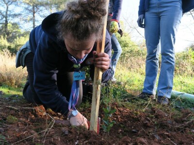 "U ovoj šumi sam odrastao, prije dvije godine gasio požar, a danas naš sin u njoj sadi svoj prvi hrast
