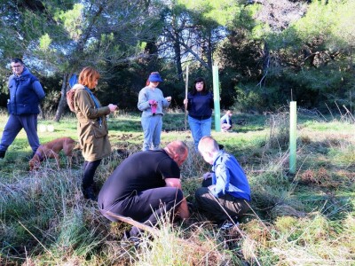 "U ovoj šumi sam odrastao, prije dvije godine gasio požar, a danas naš sin u njoj sadi svoj prvi hrast