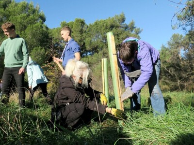 "U ovoj šumi sam odrastao, prije dvije godine gasio požar, a danas naš sin u njoj sadi svoj prvi hrast