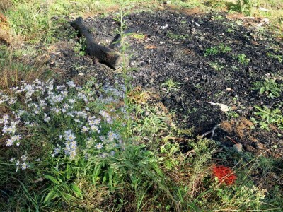 "U ovoj šumi sam odrastao, prije dvije godine gasio požar, a danas naš sin u njoj sadi svoj prvi hrast