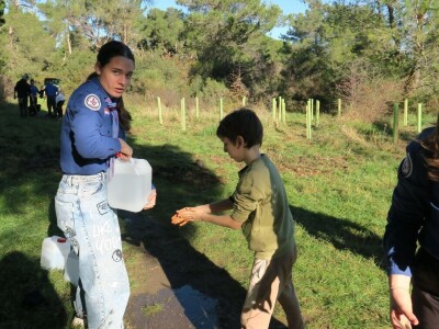 "U ovoj šumi sam odrastao, prije dvije godine gasio požar, a danas naš sin u njoj sadi svoj prvi hrast
