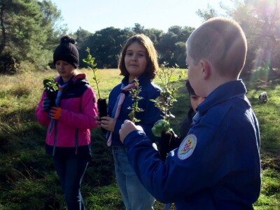 "U ovoj šumi sam odrastao, prije dvije godine gasio požar, a danas naš sin u njoj sadi svoj prvi hrast