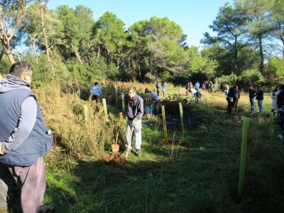 "U ovoj šumi sam odrastao, prije dvije godine gasio požar, a danas naš sin u njoj sadi svoj prvi hrast