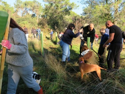 "U ovoj šumi sam odrastao, prije dvije godine gasio požar, a danas naš sin u njoj sadi svoj prvi hrast