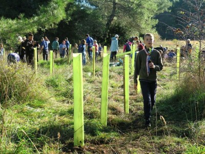 "U ovoj šumi sam odrastao, prije dvije godine gasio požar, a danas naš sin u njoj sadi svoj prvi hrast