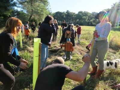 "U ovoj šumi sam odrastao, prije dvije godine gasio požar, a danas naš sin u njoj sadi svoj prvi hrast