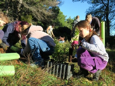 "U ovoj šumi sam odrastao, prije dvije godine gasio požar, a danas naš sin u njoj sadi svoj prvi hrast