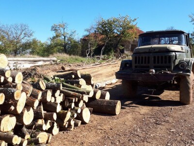 U planinu po drva kamionima starim jedan vek U planinu po drva kamionima starim jedan vek