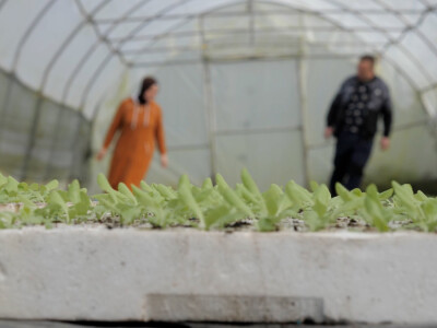 On je junak, a ona šefica! Eldin i Armina Muhović prepoznali blagodati sela