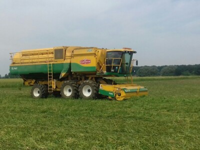 U Podravini počela berba graška U Podravini počela berba graška