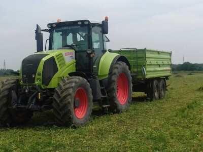 U Podravini počela berba graška U Podravini počela berba graška