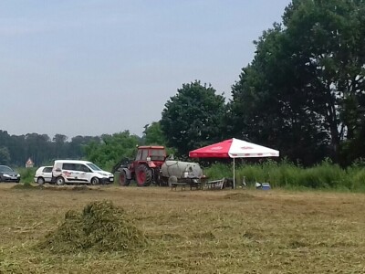 U Podravini počela berba graška U Podravini počela berba graška