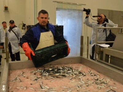 U pogonu zadruge u Šopotu zaposleno je 65 ljudi