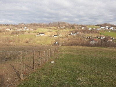 U poljoprivredi uvek ima posla U poljoprivredi uvek ima posla