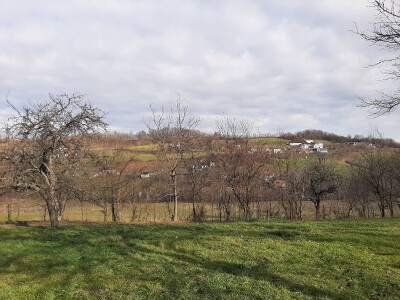 U poljoprivredi uvek ima posla U poljoprivredi uvek ima posla