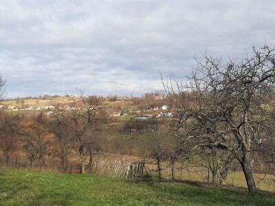 U poljoprivredi uvek ima posla U poljoprivredi uvek ima posla