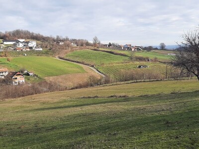 U poljoprivredi uvek ima posla U poljoprivredi uvek ima posla