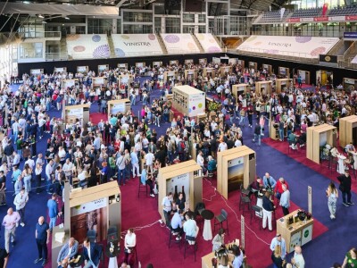 U Poreču je održana 31. Vinistra