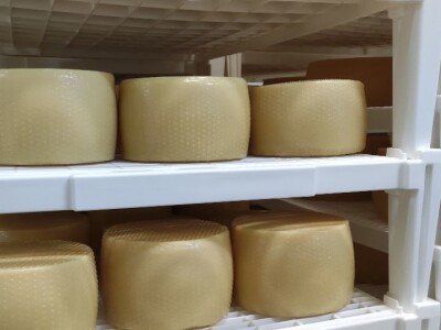 U posjetu mini mljekari Veronika