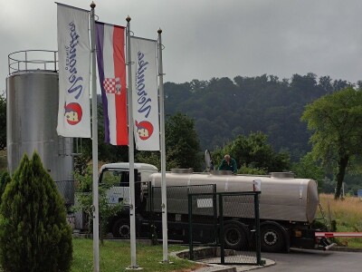 U posjetu mini mljekari Veronika