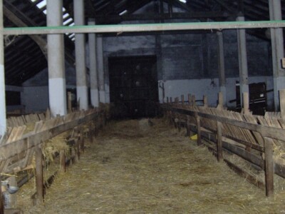 U praznoj farmi U praznoj farmi