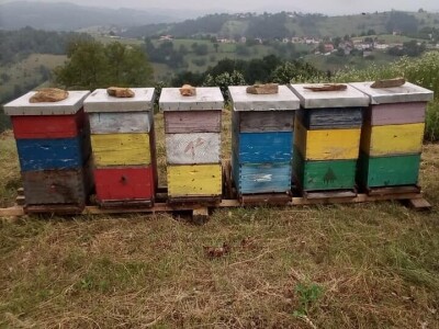 U prirodi je lijek za sve: Kako Gerzići pčelama i biljem liječe razne boljke