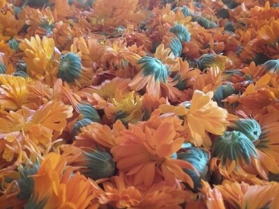 U prirodi je lijek za sve: Kako Gerzići pčelama i biljem liječe razne boljke