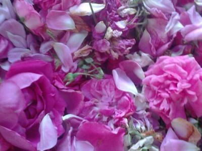 U prirodi je lijek za sve: Kako Gerzići pčelama i biljem liječe razne boljke