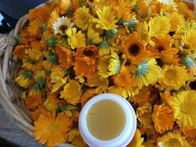 U prirodi je lijek za sve: Kako Gerzići pčelama i biljem liječe razne boljke