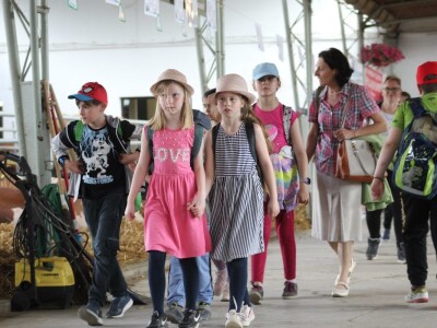 U prolazu, Novosadski sajam