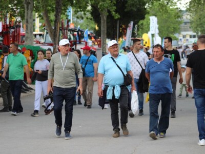 U prolazu, Novosadski sajam