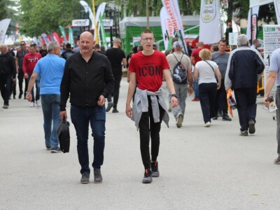 U prolazu, Novosadski sajam