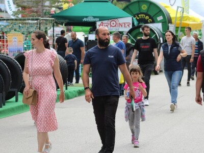 U prolazu, Novosadski sajam