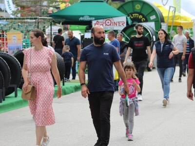 U prolazu, Novosadski sajam